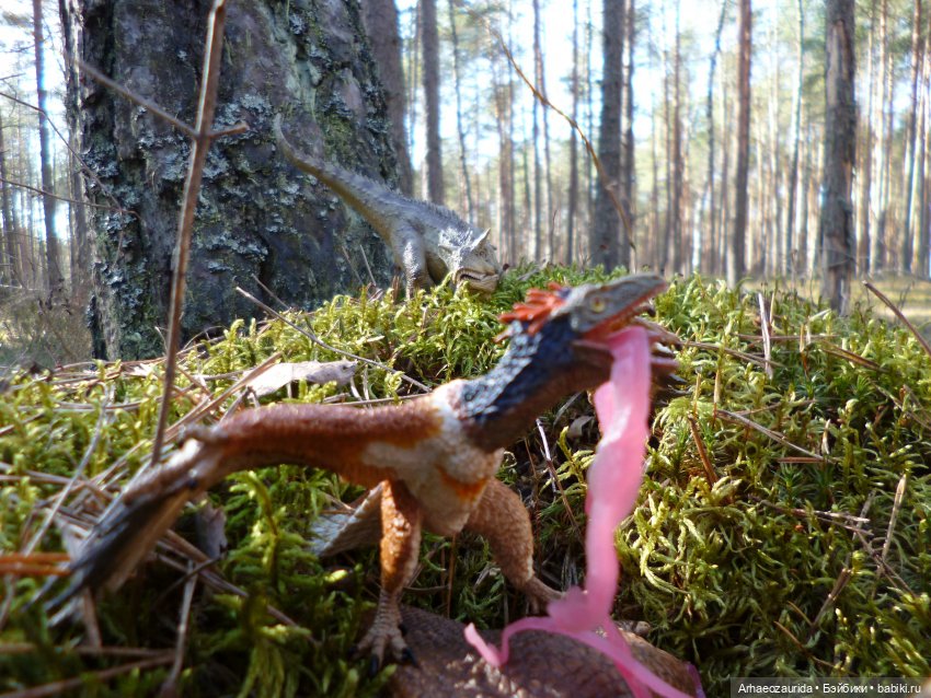 Весенний лёд: стервятники (фото 9)