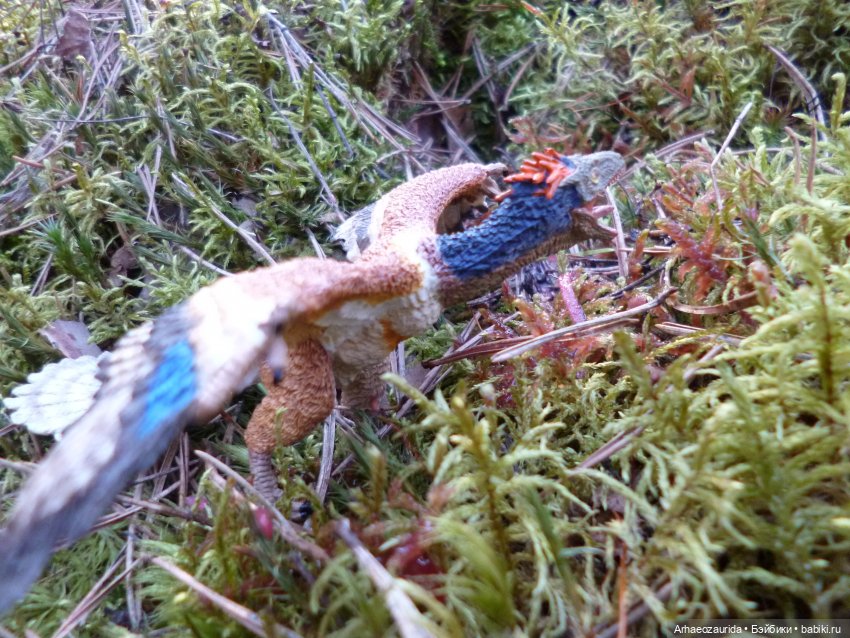 Весенний лёд: стервятники (фото 5)