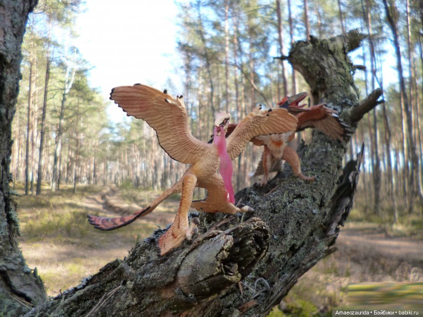 Весенний лёд: стервятники