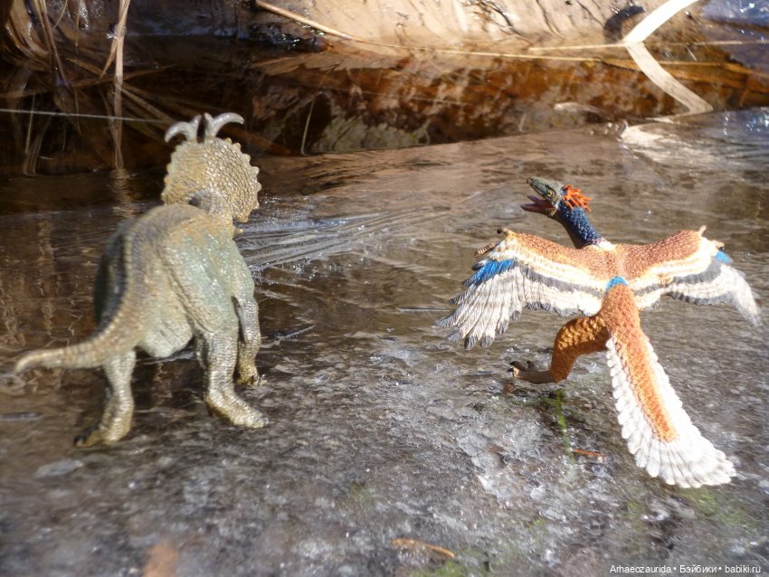 Весенний лёд: стервятники (фото 3)