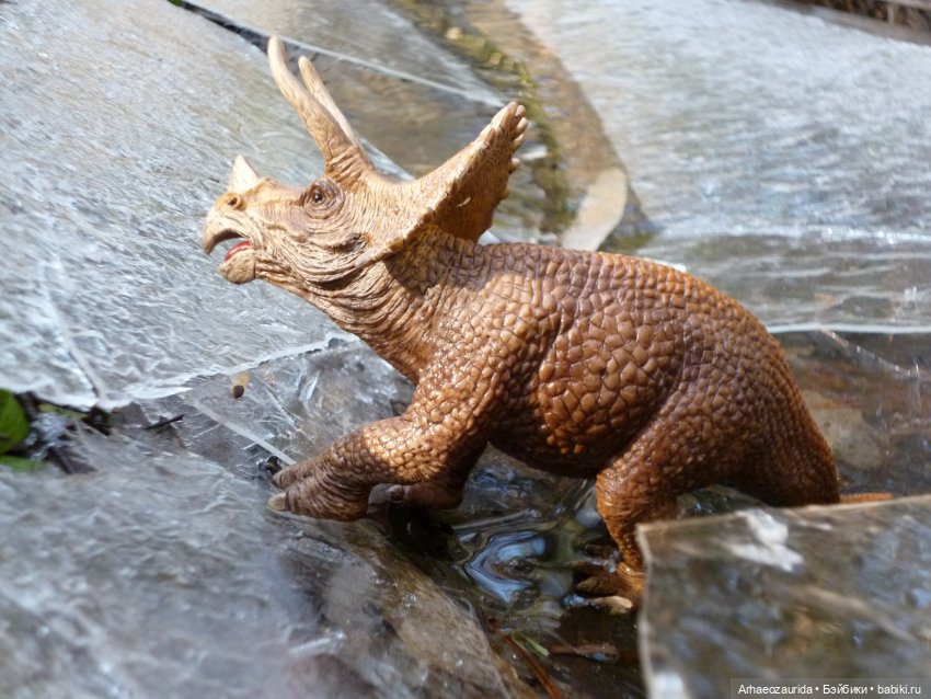 Весенний лёд: стервятники (фото 4)