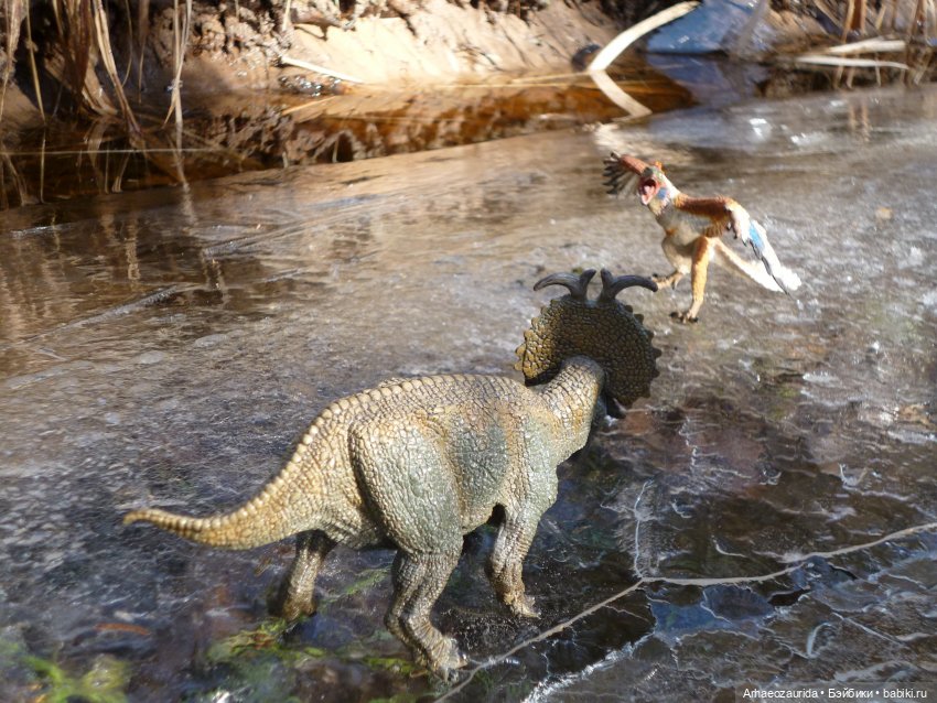 Весенний лёд: стервятники (фото 2)