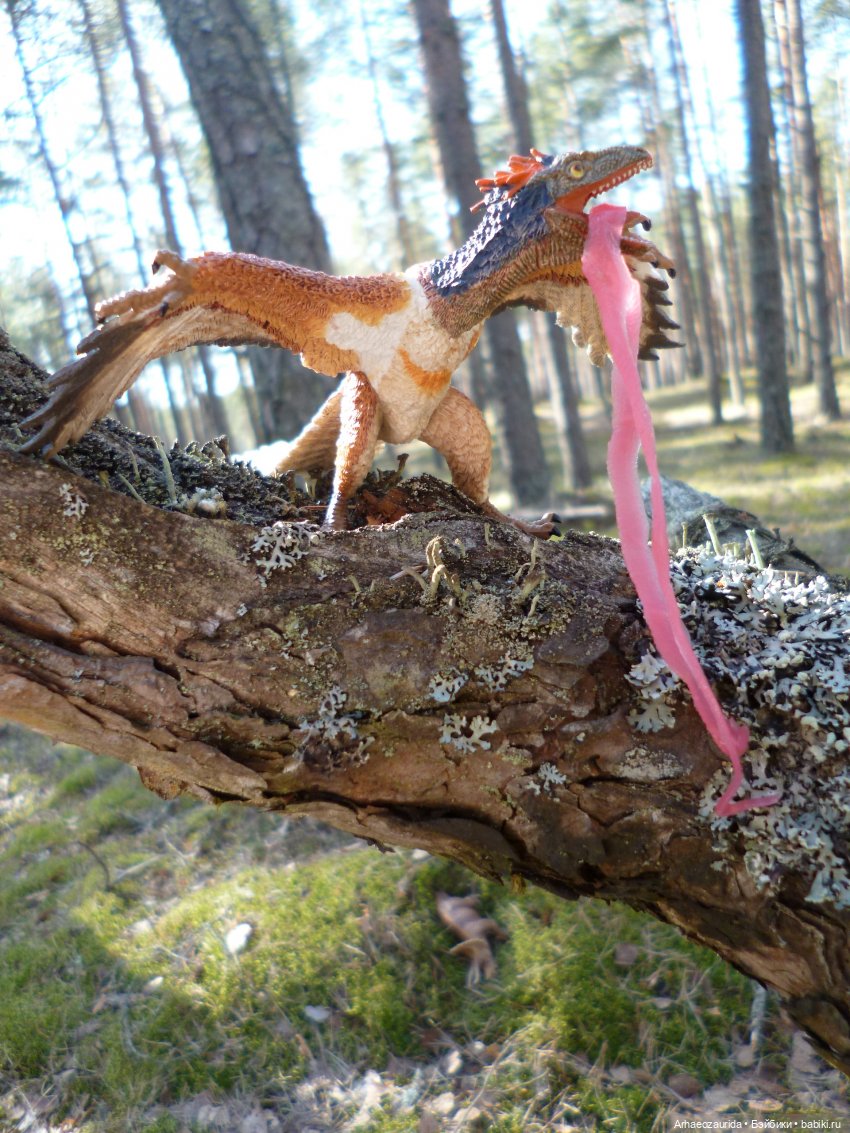 Весенний лёд: стервятники (фото 6)