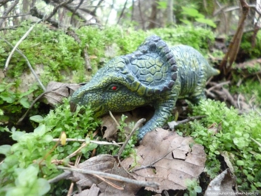 Папоротниковый лес: два ящера (фото 7)