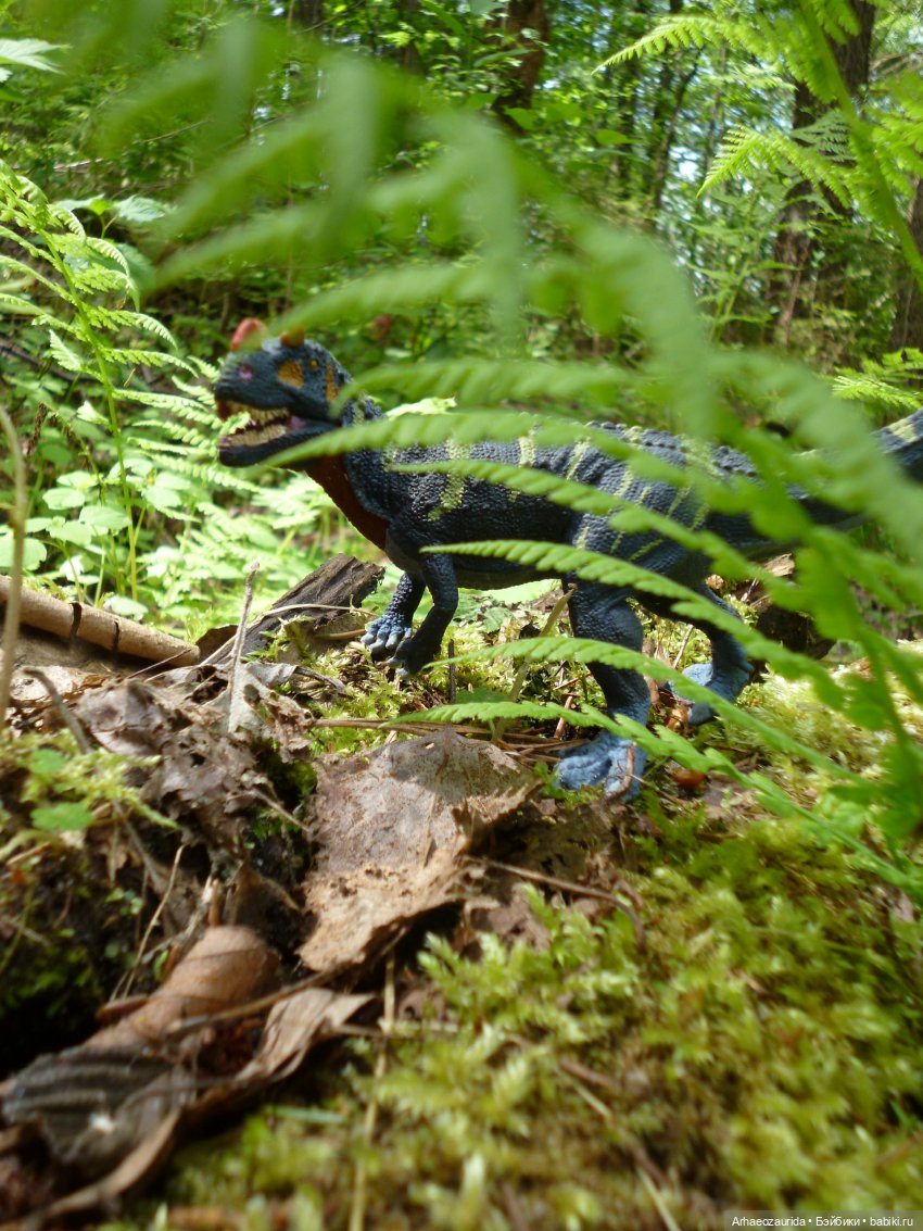 Папоротниковый лес: два ящера (фото 8)