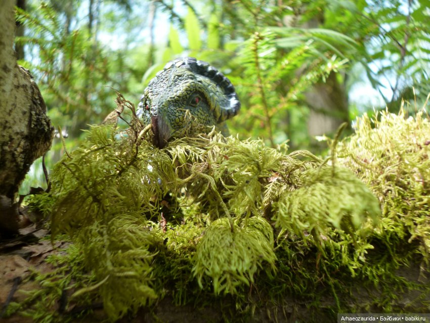 Папоротниковый лес: два ящера (фото 2)