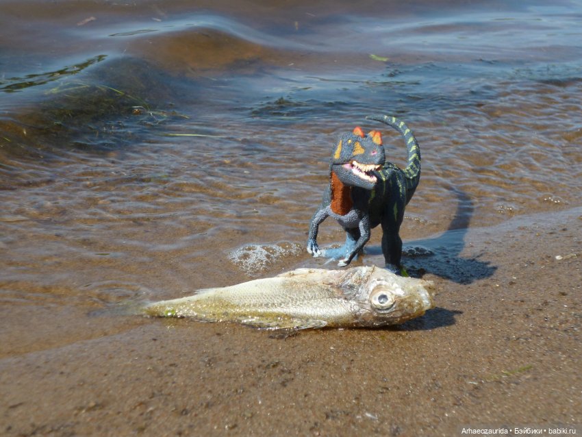 Папоротниковый лес: два ящера