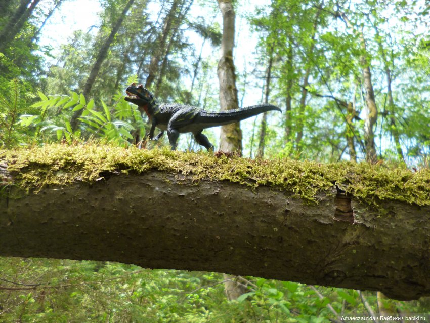 Папоротниковый лес: два ящера (фото 10)