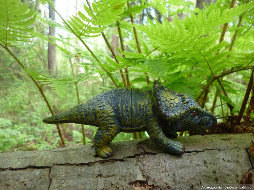 Папоротниковый лес: два ящера (фото 9)