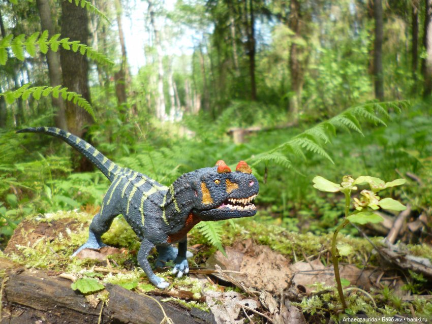 Папоротниковый лес: два ящера (фото 4)