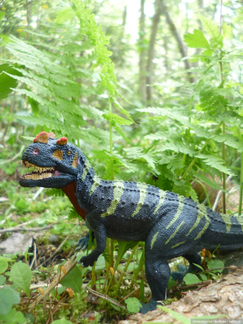 Папоротниковый лес: два ящера (фото 5)
