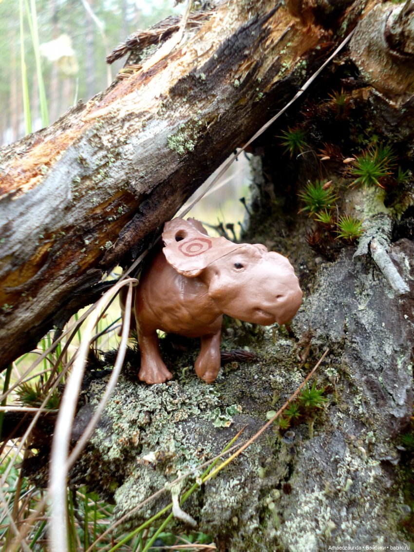 Лесные дела: семейство пахиринозавров (фото 6)