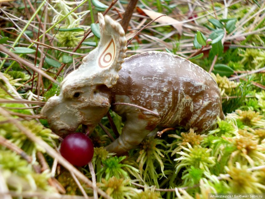 Лесные дела: семейство пахиринозавров (фото 10)