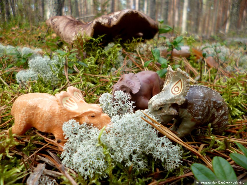 Лесные дела: семейство пахиринозавров