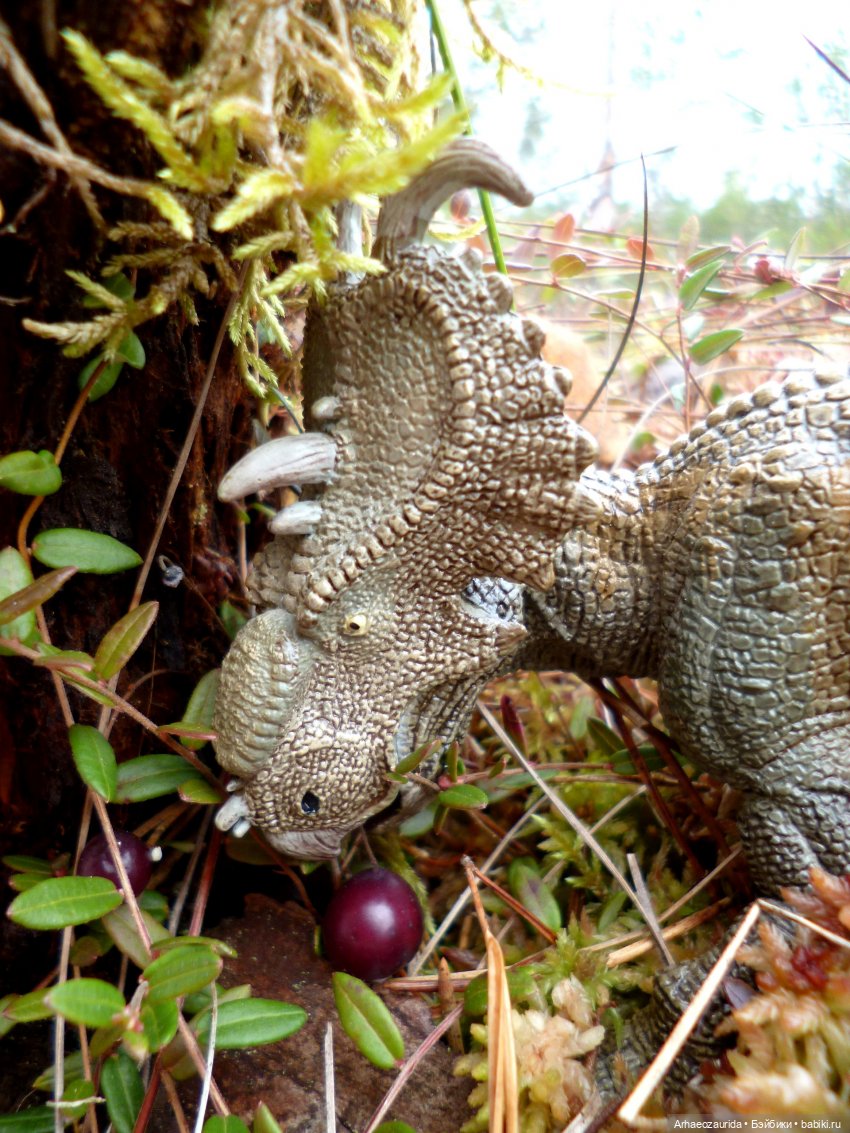 Лесные дела: семейство пахиринозавров (фото 5)