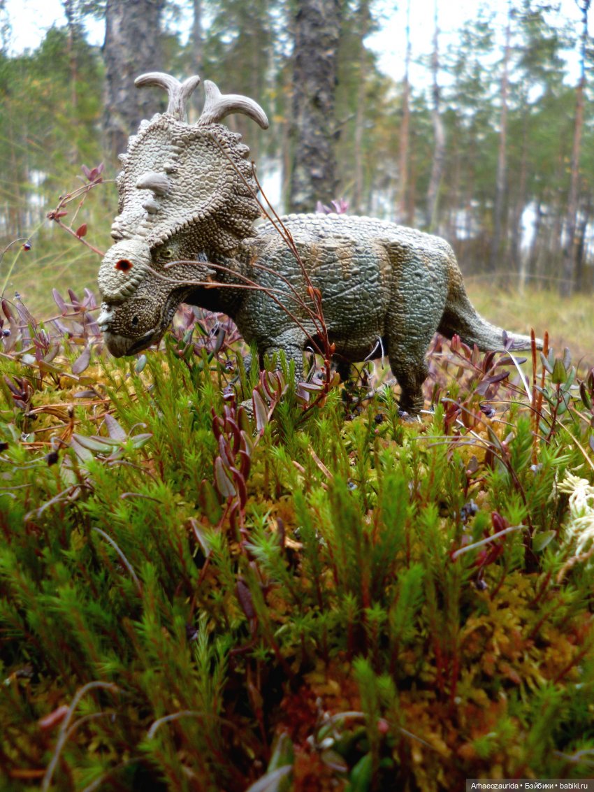 Лесные дела: семейство пахиринозавров