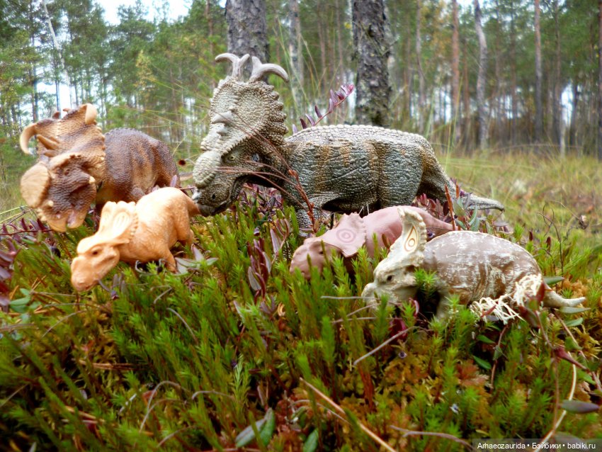 Лесные дела: семейство пахиринозавров (фото 3)