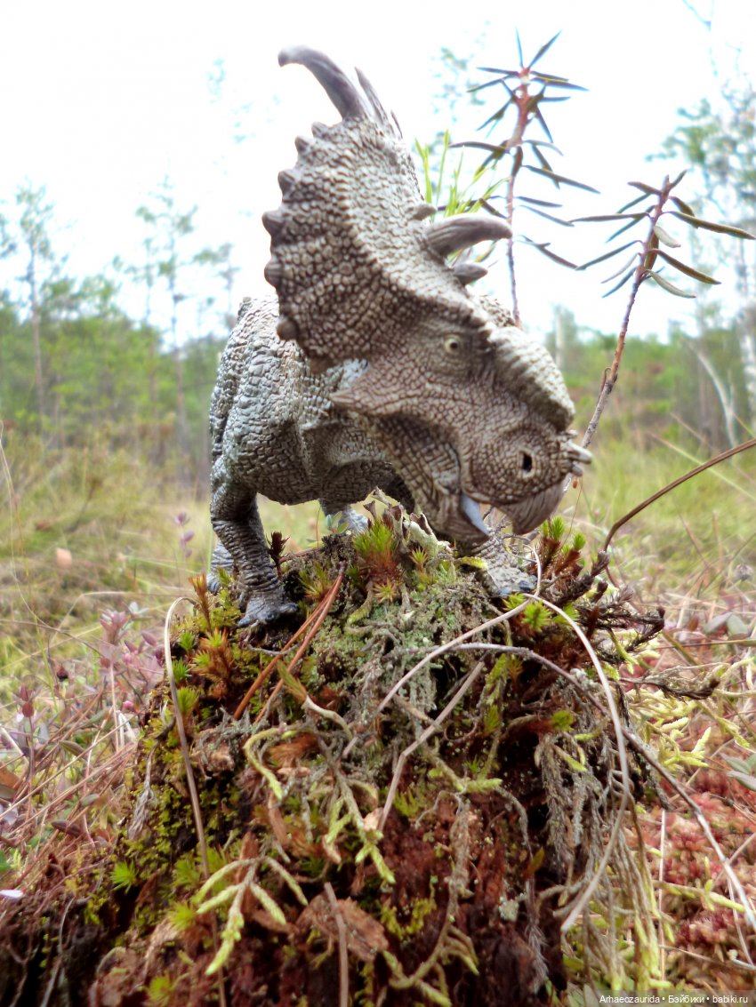 Лесные дела: семейство пахиринозавров (фото 2)