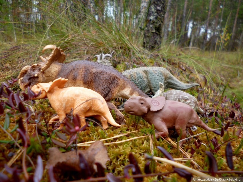 Лесные дела: семейство пахиринозавров