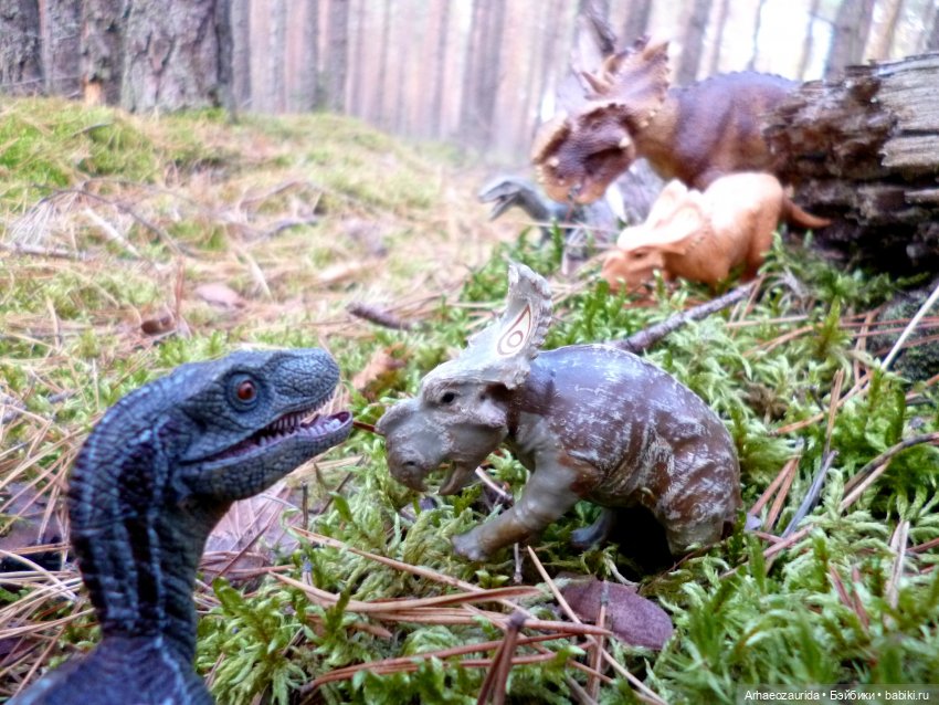 Лесные дела: слишком маленькая стая