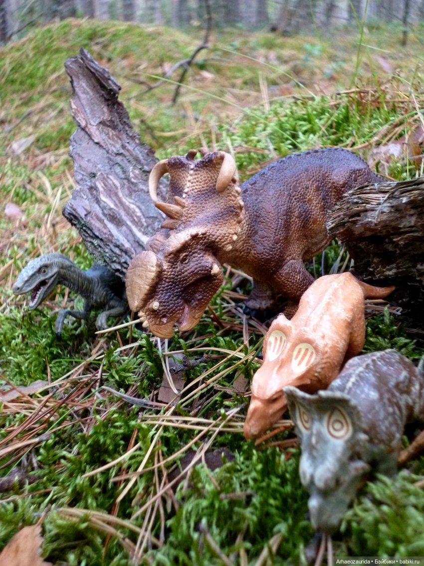 Лесные дела: слишком маленькая стая