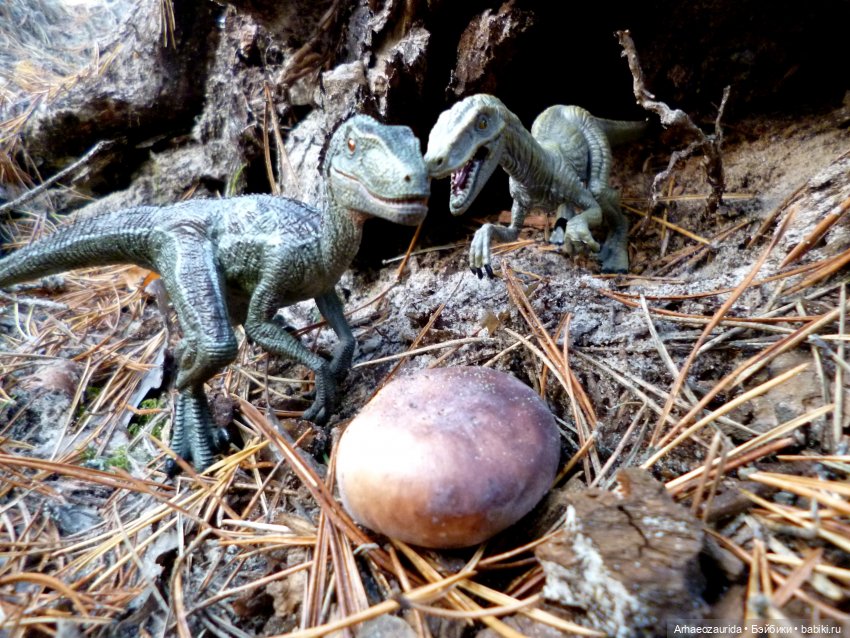 Лесные дела: слишком маленькая стая