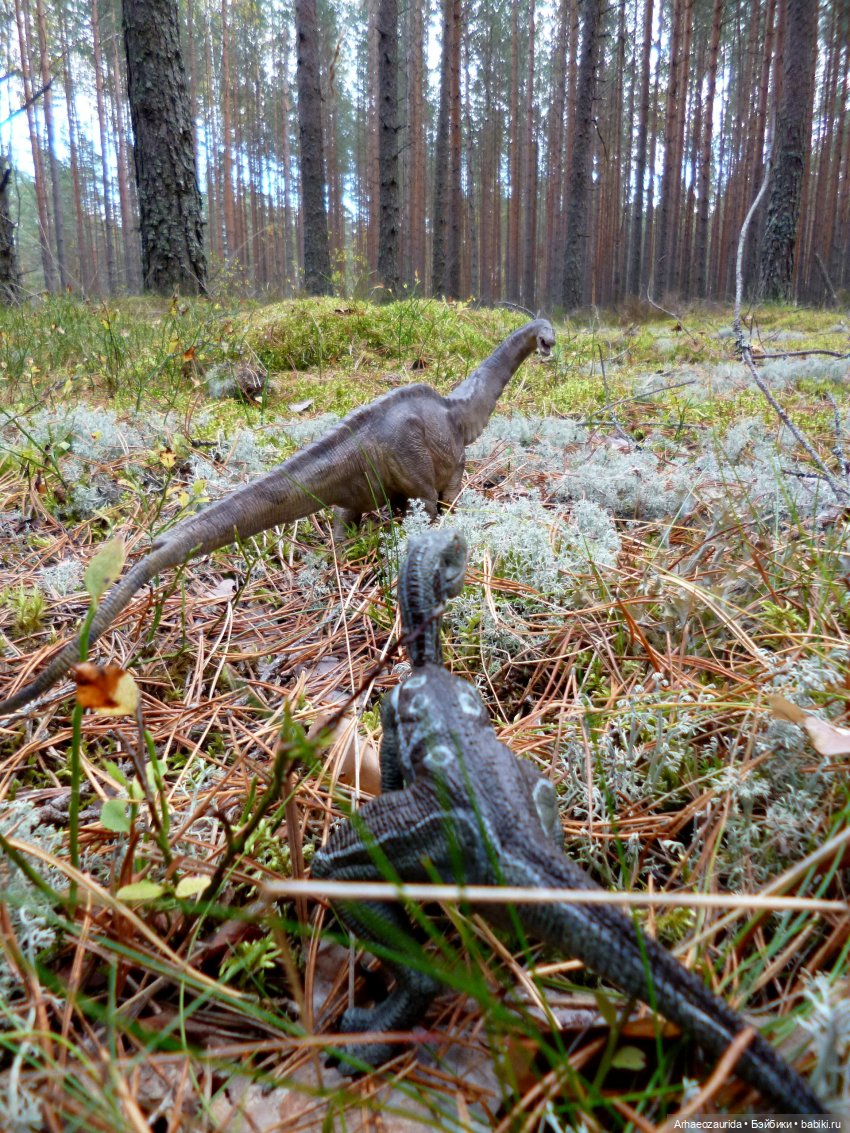 Лесные дела: слишком маленькая стая