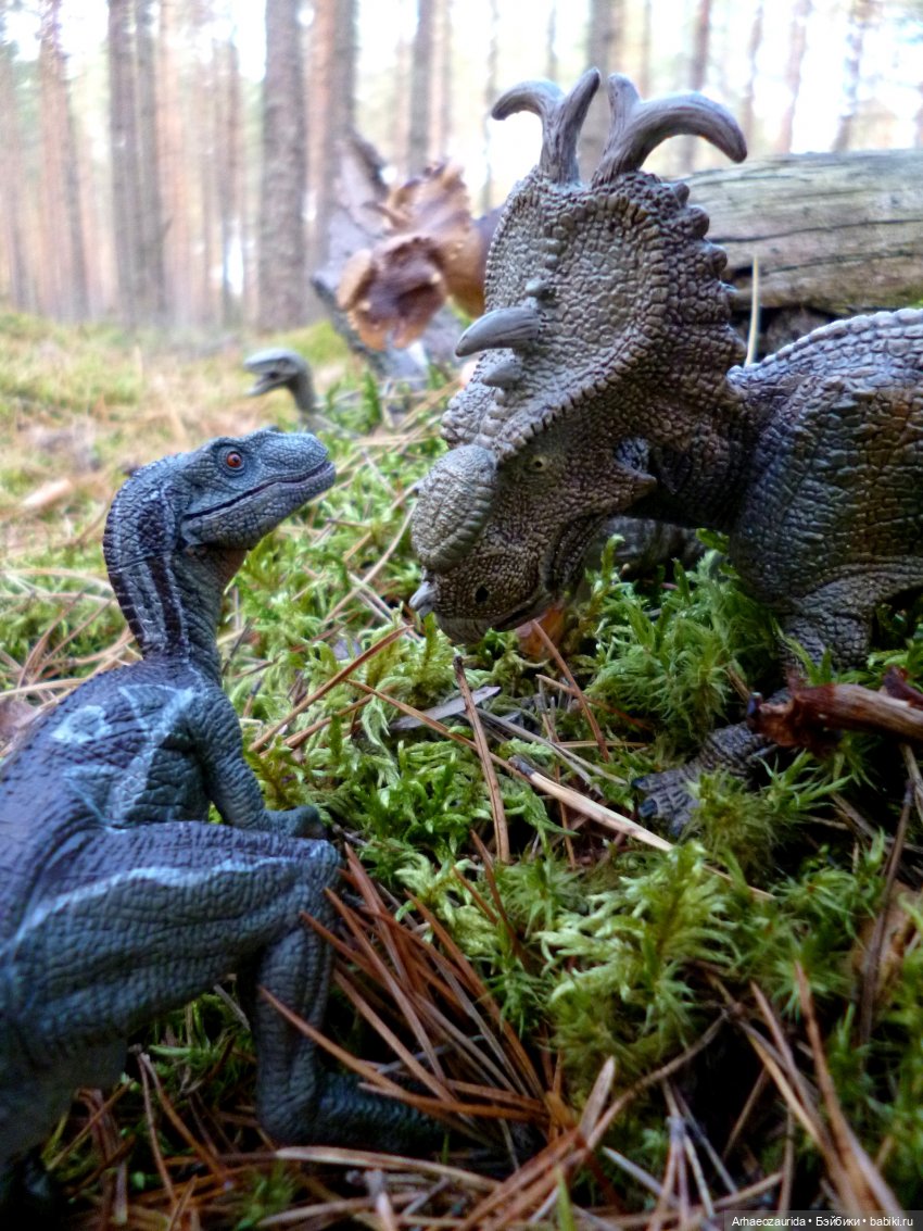 Лесные дела: слишком маленькая стая