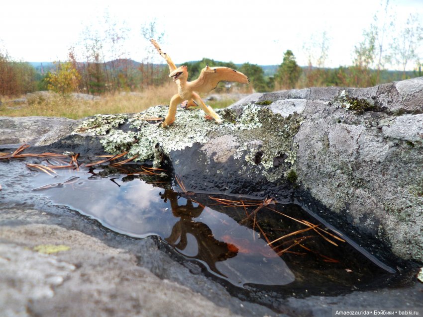 Лес Скал: охота Шеда — Интересные игрушки и фигурки (разное): редкие