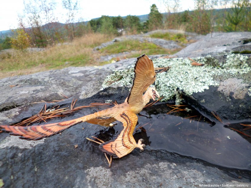 Лес Скал: охота Шеда — Интересные игрушки и фигурки (разное): редкие