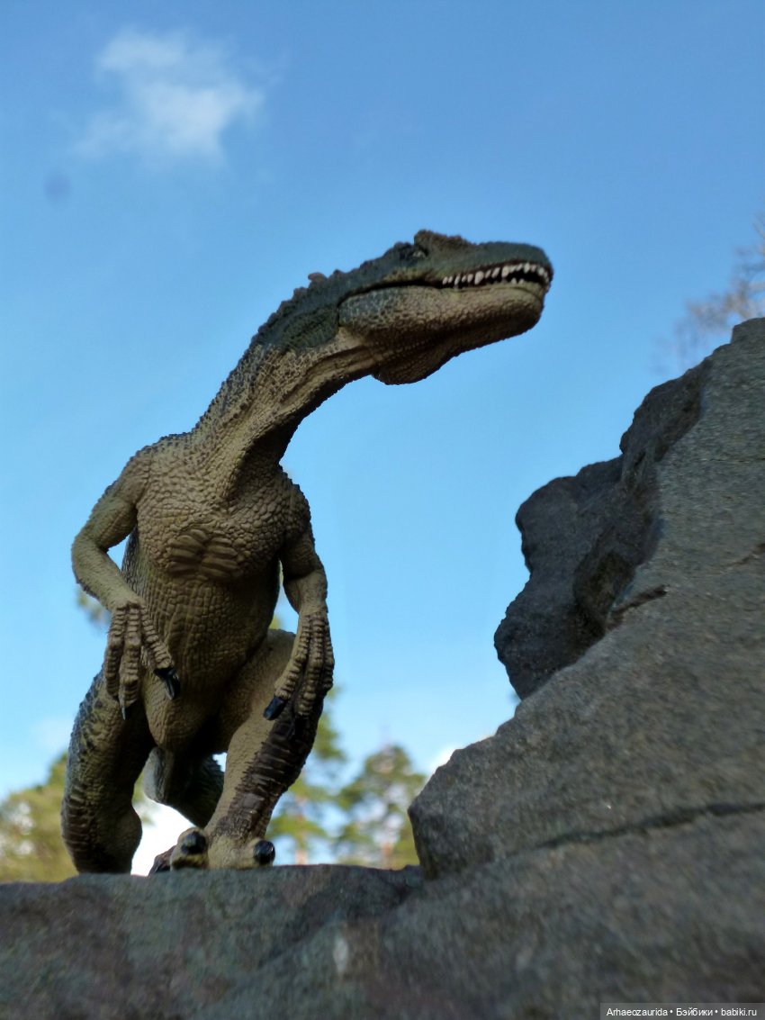 Лес Скал: охота Шеда — Интересные игрушки и фигурки (разное): редкие