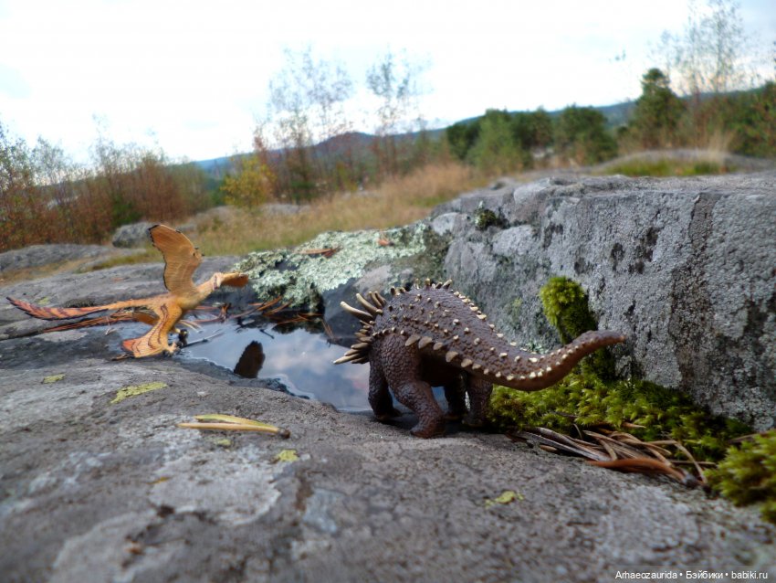 Лес Скал: охота Шеда — Интересные игрушки и фигурки (разное): редкие