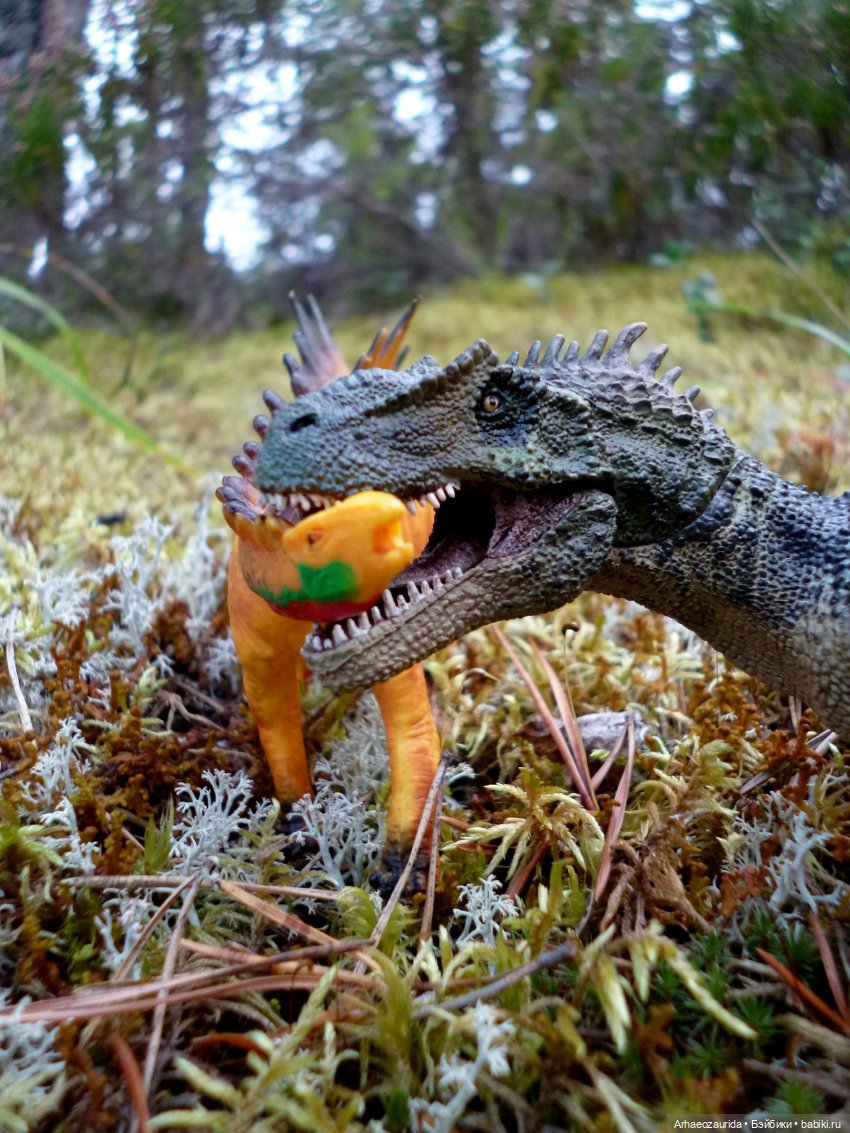 Лес Скал: охота Шеда — Интересные игрушки и фигурки (разное): редкие