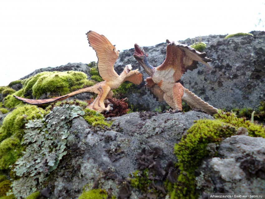 Лес Скал: охота Шеда — Интересные игрушки и фигурки (разное): редкие