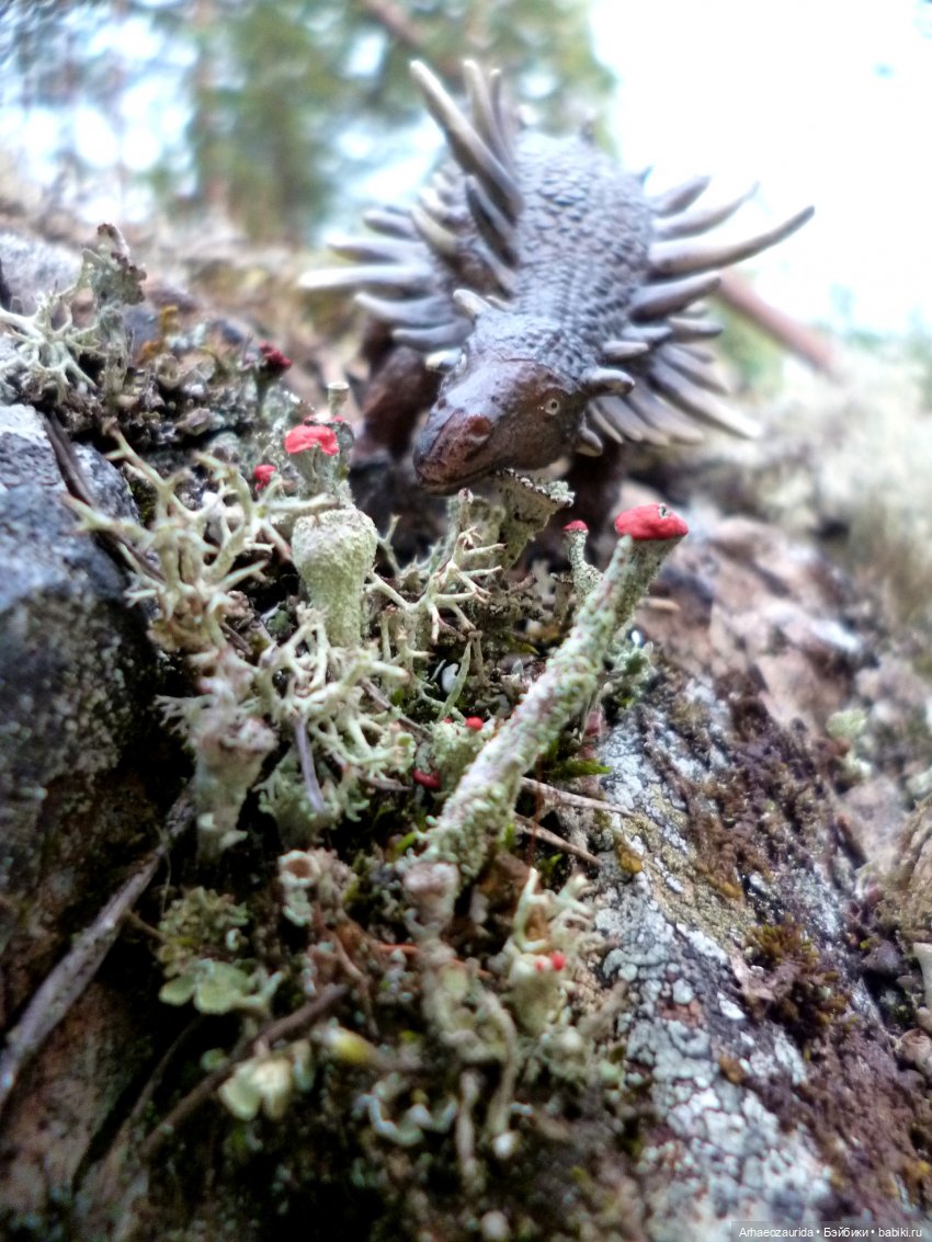 Лес Скал: охота Шеда — Интересные игрушки и фигурки (разное): редкие