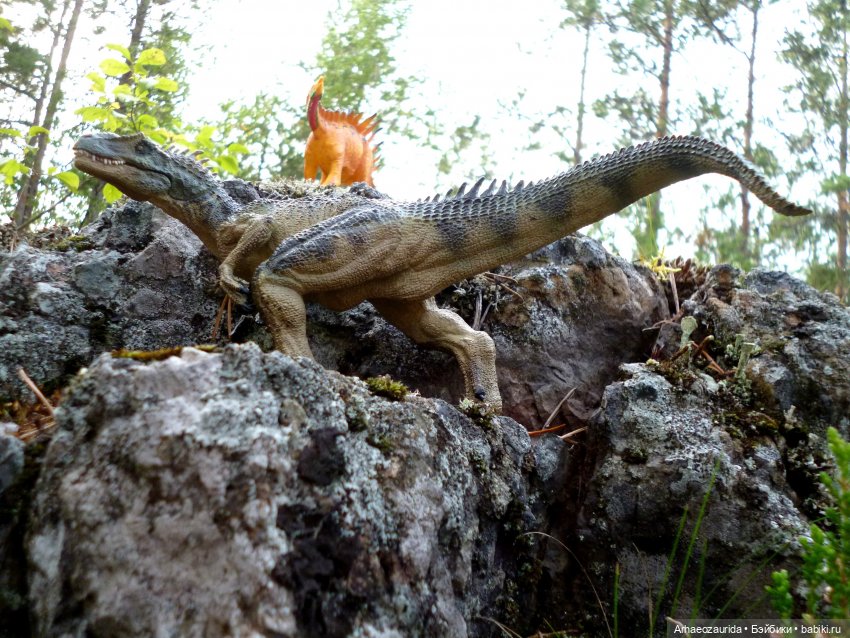 Лес Скал: охота Шеда — Интересные игрушки и фигурки (разное): редкие