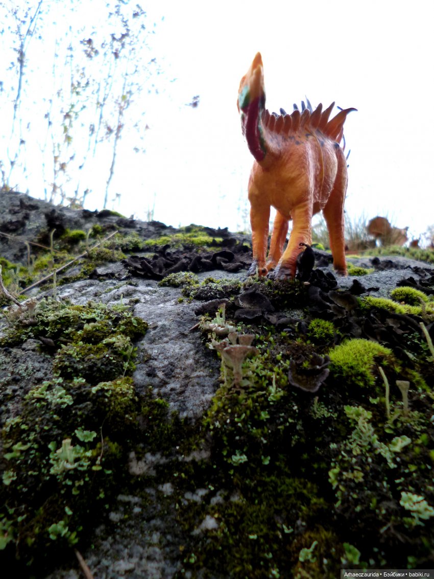 Лес Скал: охота Шеда — Интересные игрушки и фигурки (разное): редкие (фото 4)