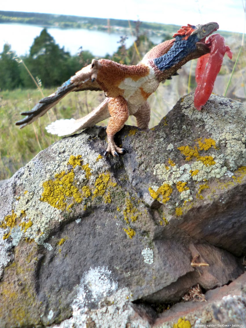 Лес Скал: Уртай нашёлся — Интересные игрушки и фигурки (разное): редкие (фото 7)