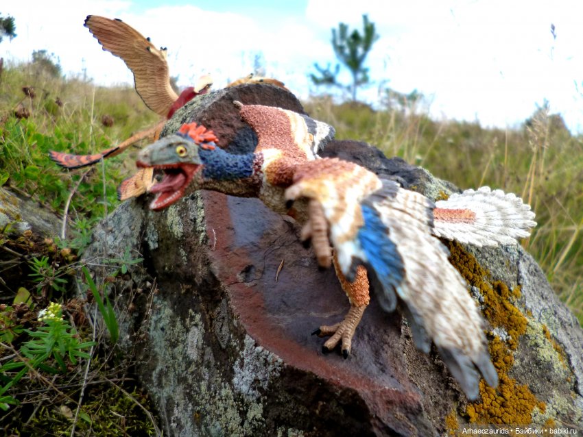 Лес Скал: Уртай нашёлся — Интересные игрушки и фигурки (разное): редкие (фото 10)