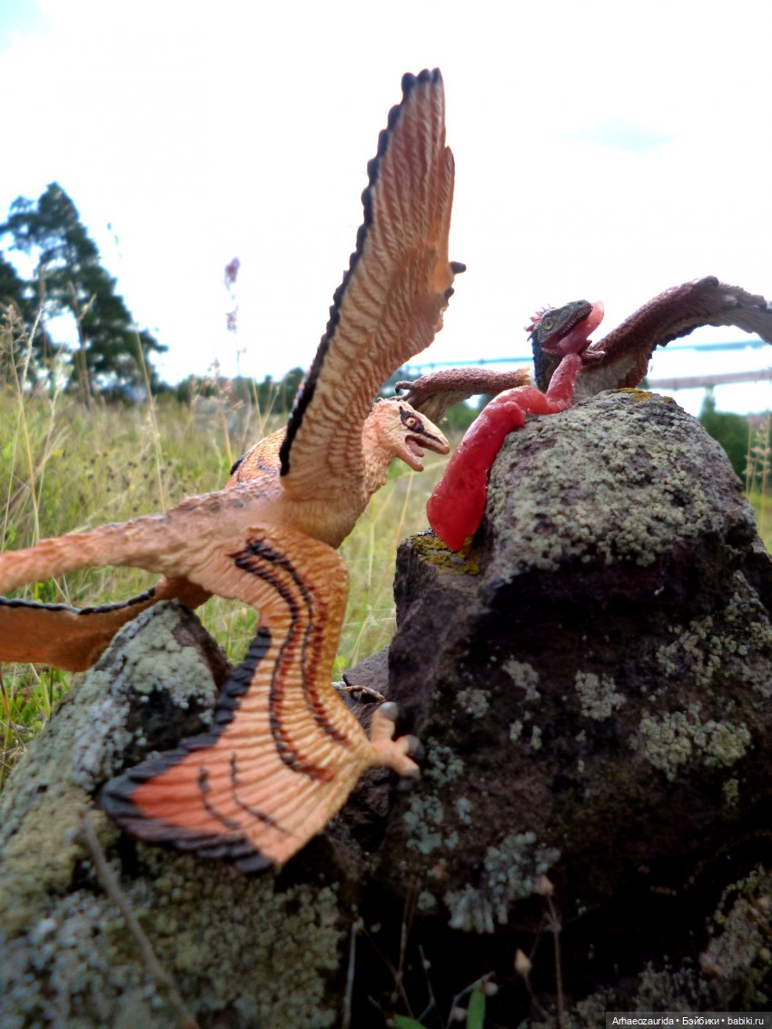 Лес Скал: Уртай нашёлся — Интересные игрушки и фигурки (разное): редкие (фото 9)