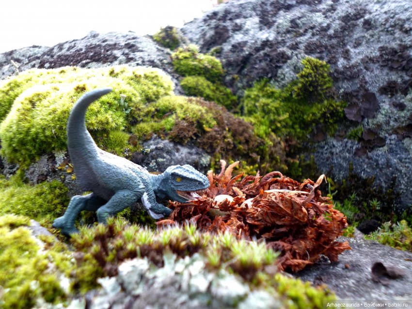 Лес Скал: Уртай нашёлся — Интересные игрушки и фигурки (разное): редкие