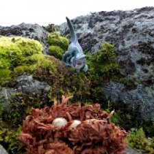 Лес Скал: Уртай нашёлся