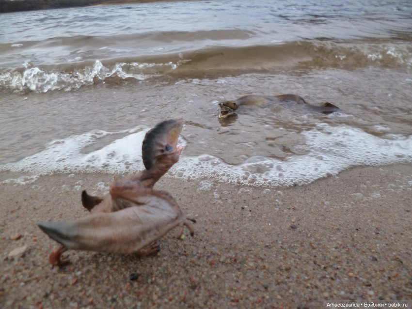 Побережье: речной ящер — Интересные игрушки и фигурки (разное): редкие (фото 2)