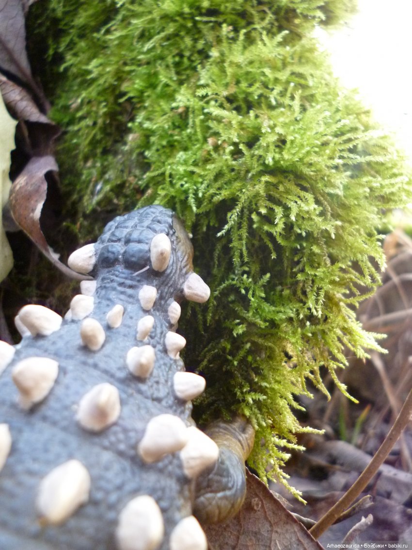 Побережье: речной ящер — Интересные игрушки и фигурки (разное): редкие (фото 3)