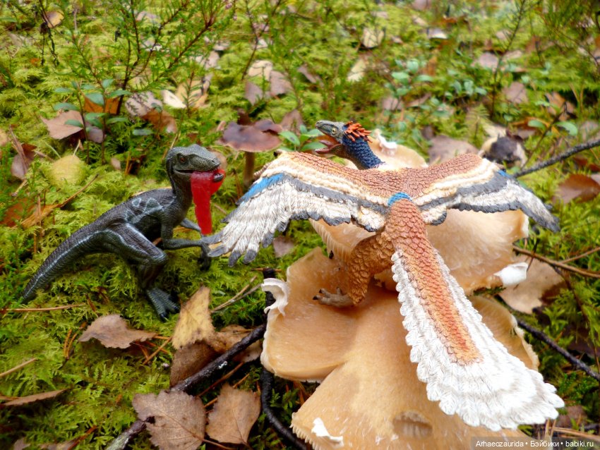 Лесные дела: Цокхор и его стая (фото 10)