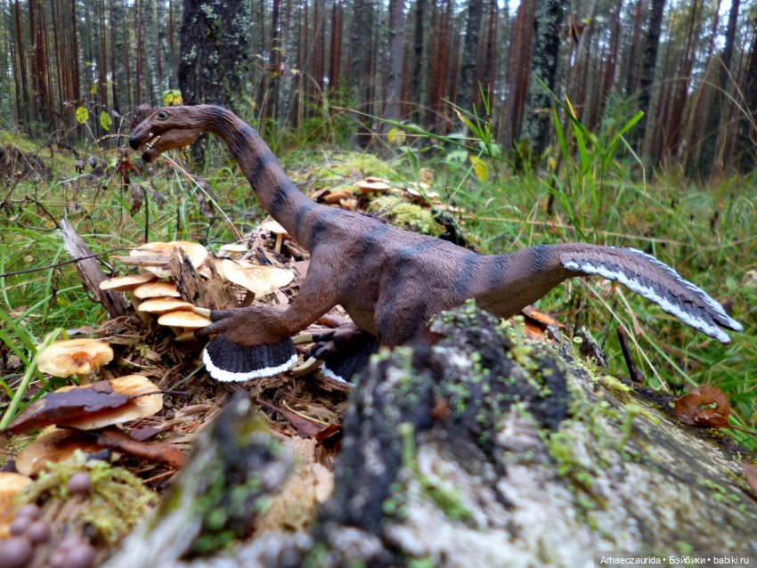 Лесные дела: Цокхор и его стая