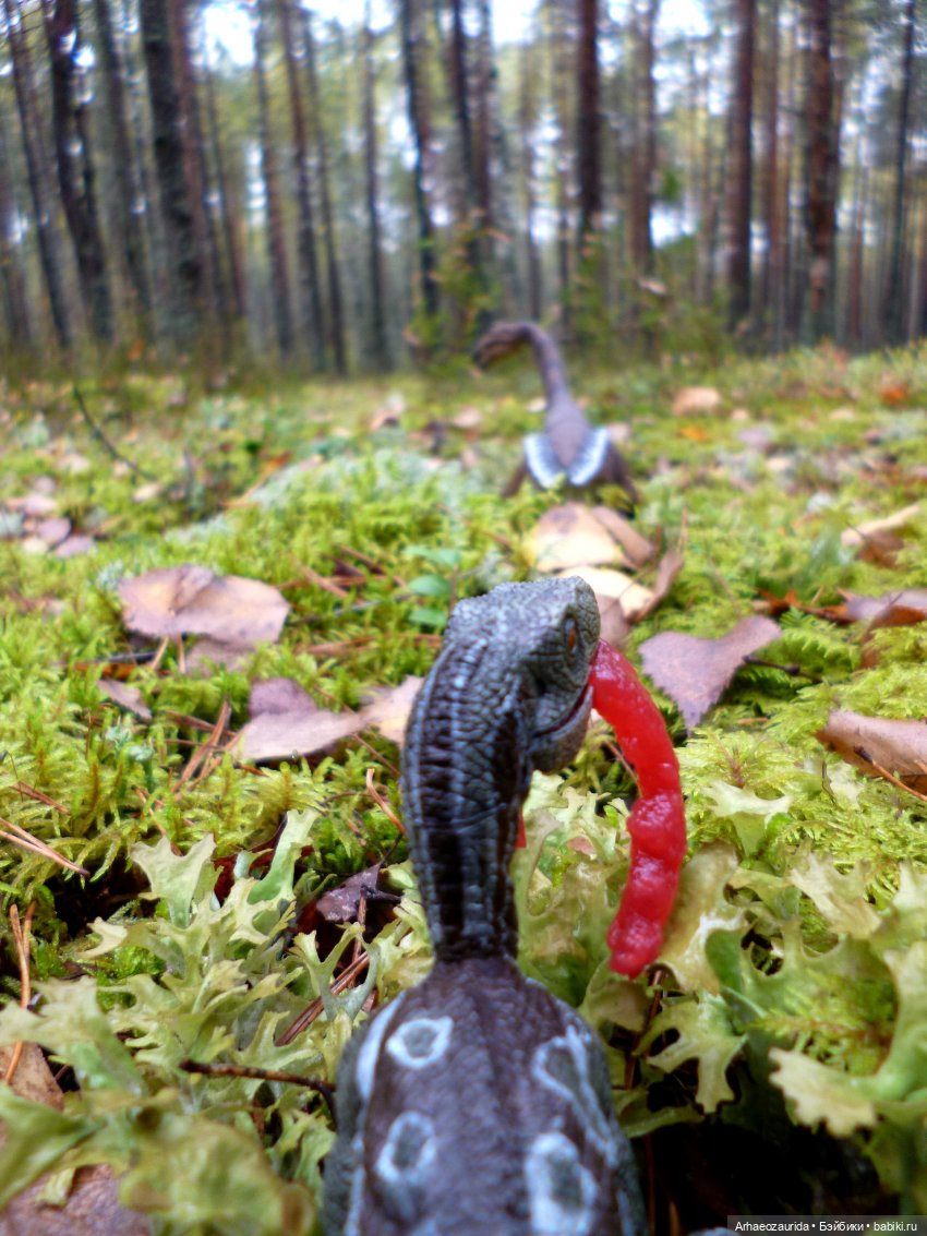 Лесные дела: Цокхор и его стая (фото 6)