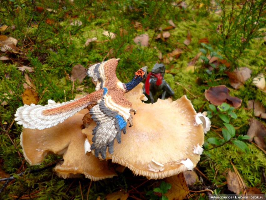 Лесные дела: Цокхор и его стая