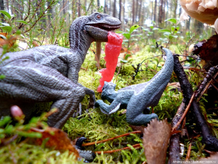 Лесные дела: Цокхор и его стая