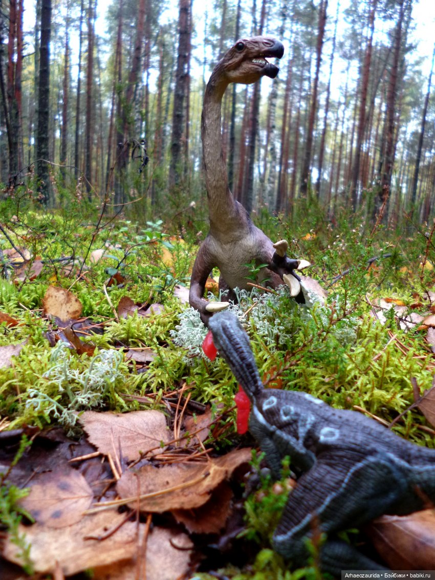 Лесные дела: Цокхор и его стая (фото 4)